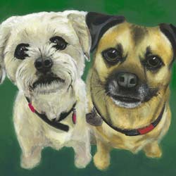 Portrait of Daisy - by Mark Ward at ArtyMarksArt