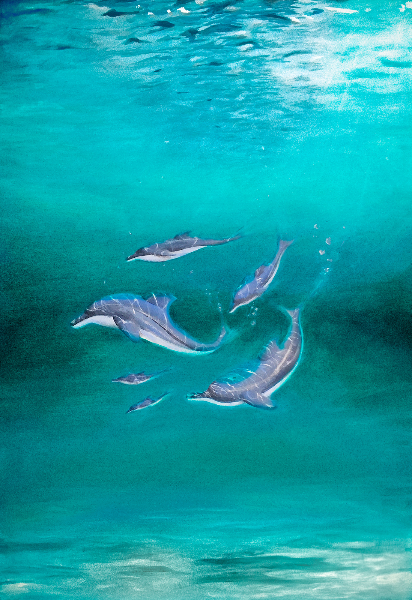 dolphins_2000px_April Dance of the Dolphins by Mark Ward at ArtyMarks Art
