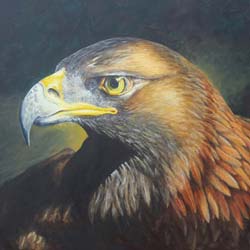 Portrait of a Golden Eagle by Artist Mark Ward at ArtyMarks Art
