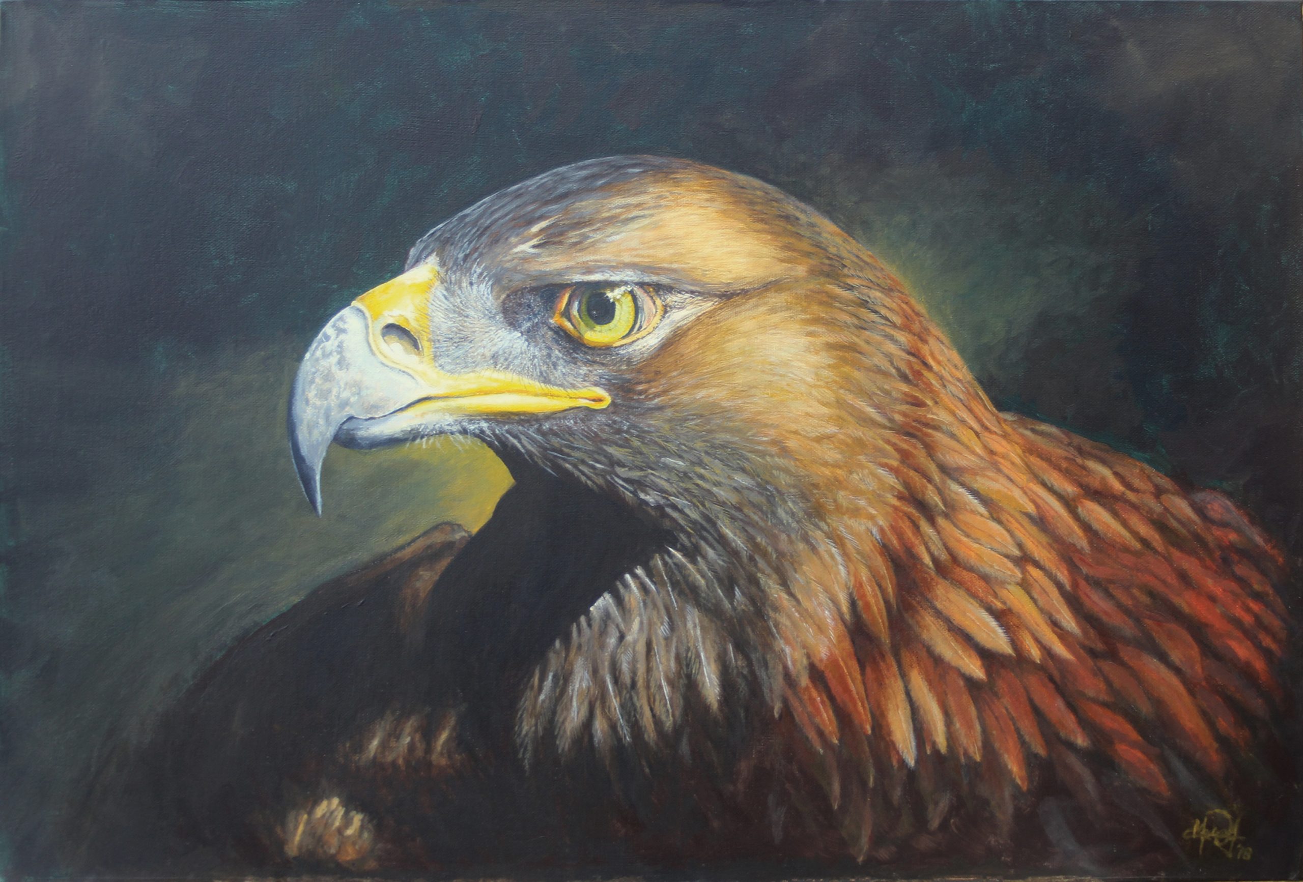 eagle_head_3000px Portrait of a Golden Eagle - by Mark Ward at ArtyMarks Art