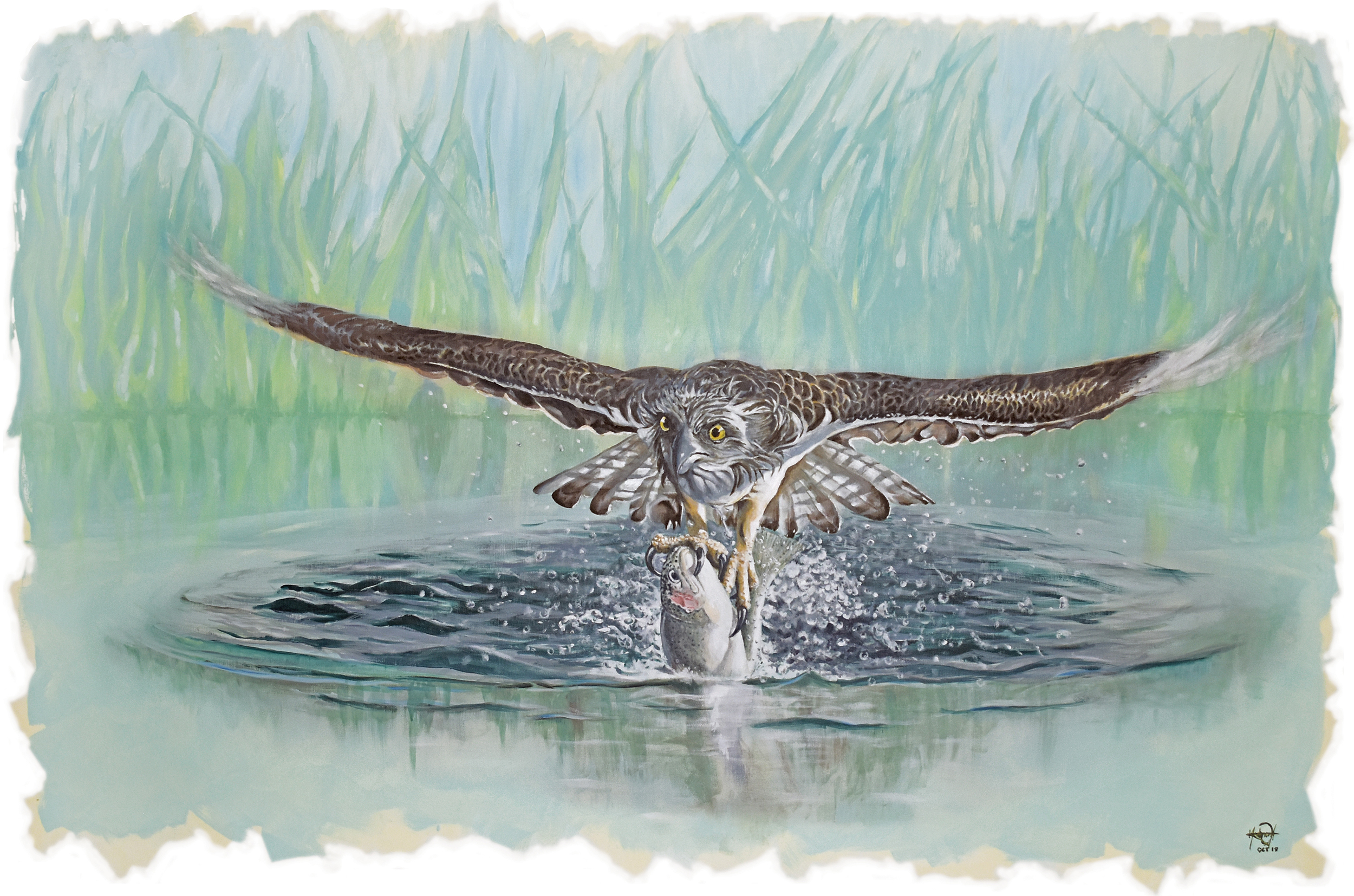 sailg_2500px Sailg - The Hunter - Osprey taking a fish by Mark Ward at ArtyMarks Art
