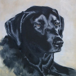 Pet Portrait of Lola - by Mark Ward at ArtyMarksArt