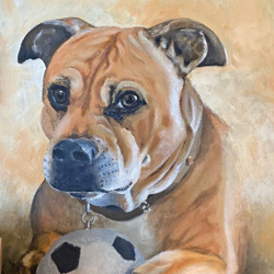Stella - pet portrait by Mark Ward at ArtyMarks Art