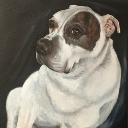 Bruce - A dog portrait by Mark Ward at ArtyMarks Art