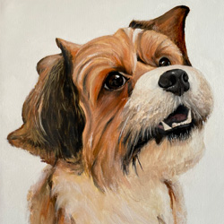 Harvey - A dog portrait by Mark Ward at ArtyMarks Art