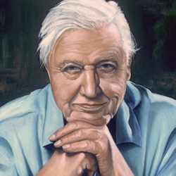 Portrait of Naturalist and British TV Personality, Sir David Attenborough, Oil on Canvas 60cm x 42cm x 2.5cm by Artist Mark Ward at ArtyMarks Art